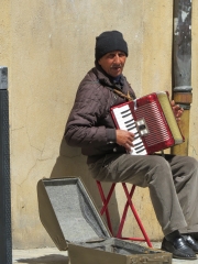 Musician  