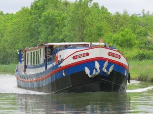 boat caprice                